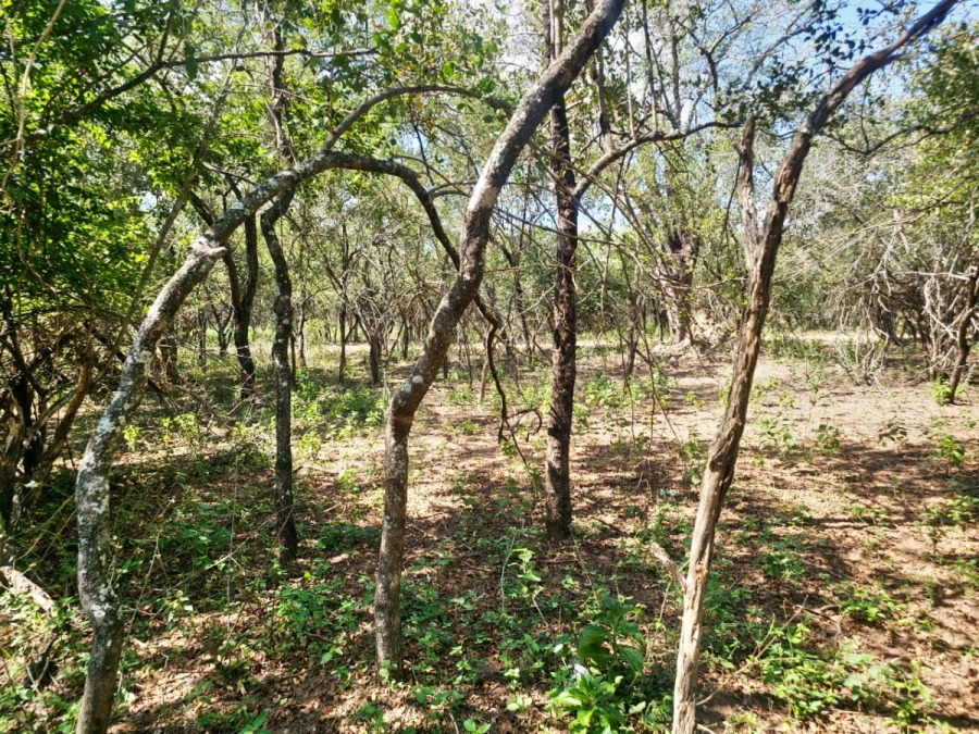 0 Bedroom Property for Sale in Marloth Park Mpumalanga