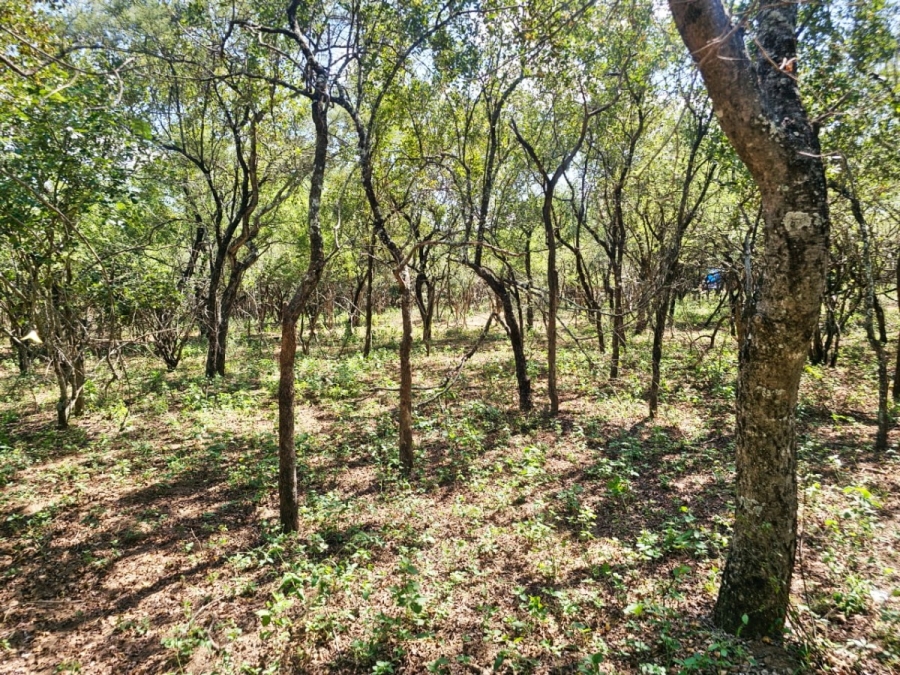 0 Bedroom Property for Sale in Marloth Park Mpumalanga