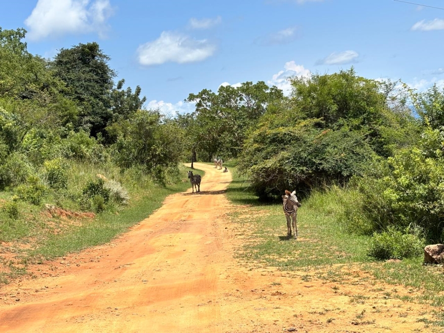 3 Bedroom Property for Sale in Nelspruit Rural Mpumalanga