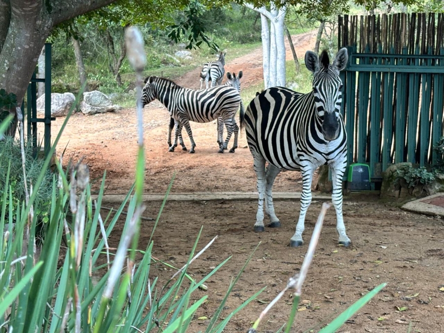 3 Bedroom Property for Sale in Nelspruit Rural Mpumalanga