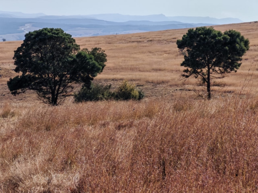 0 Bedroom Property for Sale in Machadodorp Mpumalanga