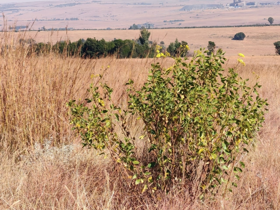 0 Bedroom Property for Sale in Machadodorp Mpumalanga