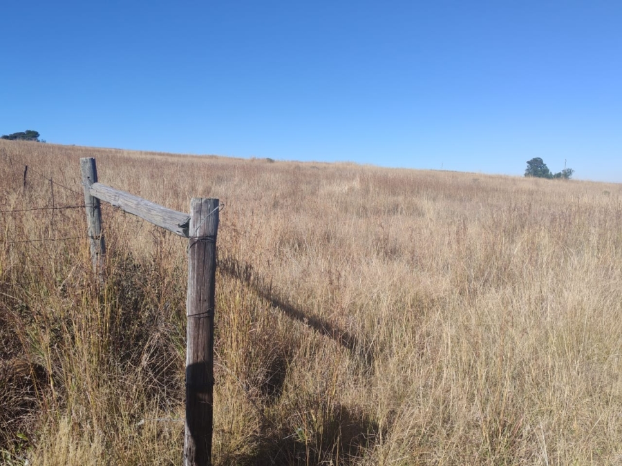 0 Bedroom Property for Sale in Machadodorp Mpumalanga