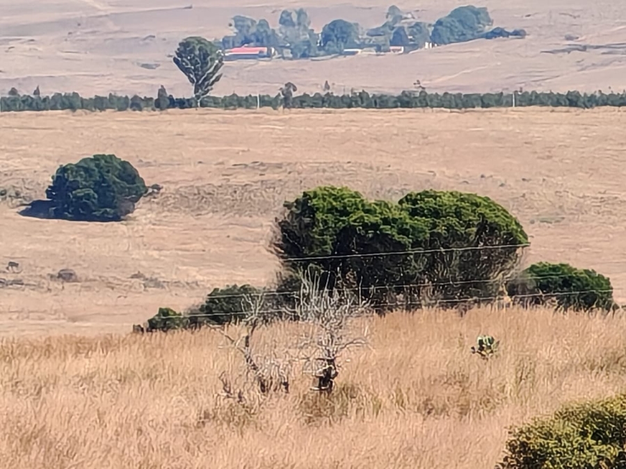 0 Bedroom Property for Sale in Machadodorp Mpumalanga