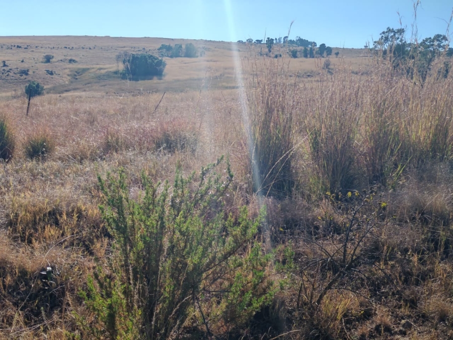0 Bedroom Property for Sale in Machadodorp Mpumalanga