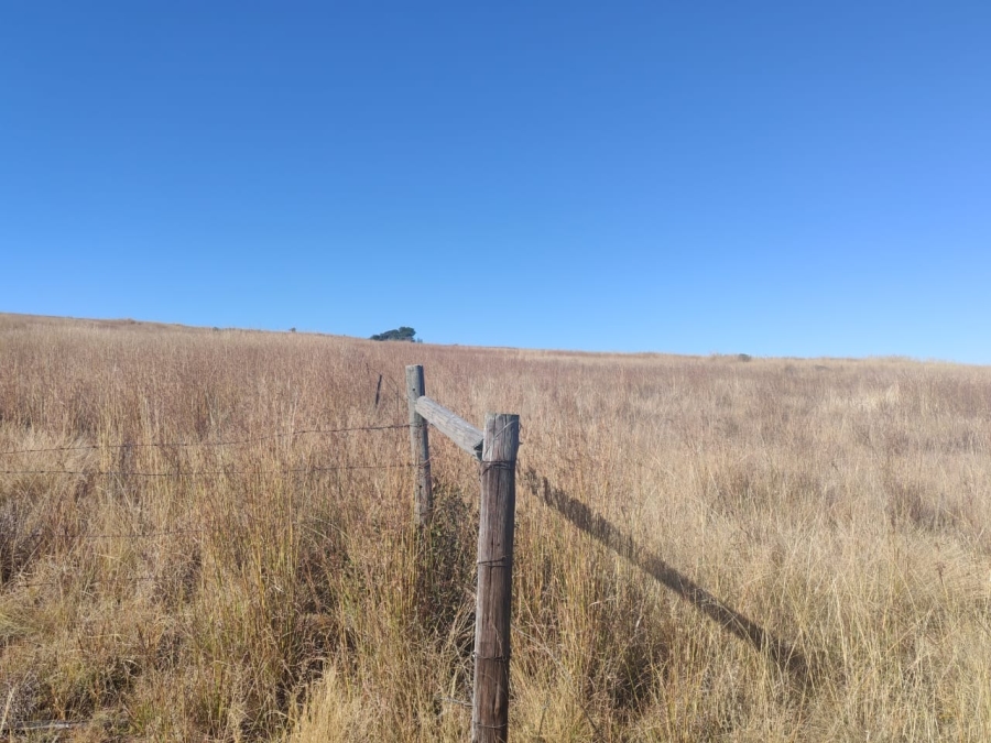0 Bedroom Property for Sale in Machadodorp Mpumalanga