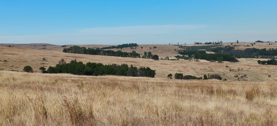 0 Bedroom Property for Sale in Machadodorp Mpumalanga