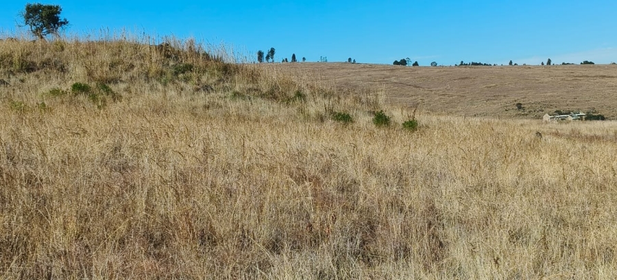 0 Bedroom Property for Sale in Machadodorp Mpumalanga