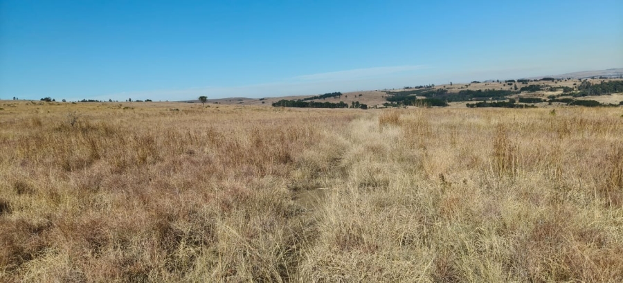 0 Bedroom Property for Sale in Machadodorp Mpumalanga