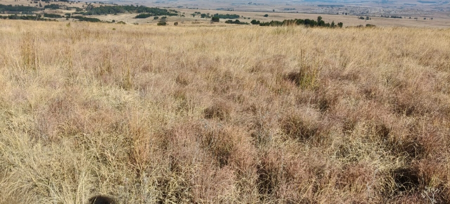 0 Bedroom Property for Sale in Machadodorp Mpumalanga