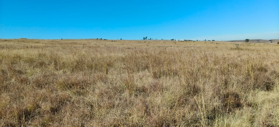 0 Bedroom Property for Sale in Machadodorp Mpumalanga