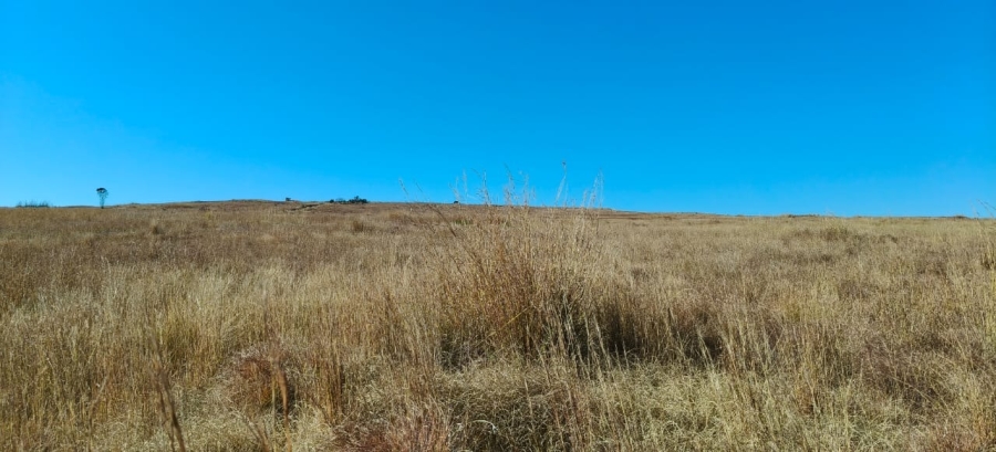 0 Bedroom Property for Sale in Machadodorp Mpumalanga