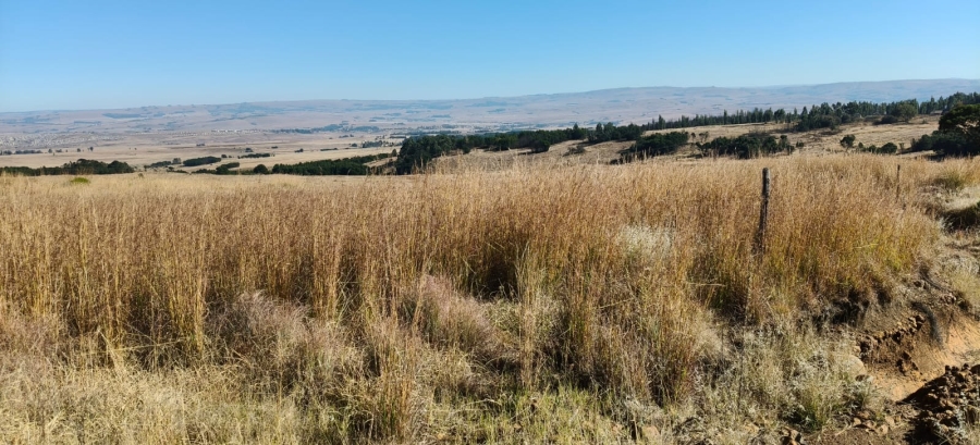 0 Bedroom Property for Sale in Machadodorp Mpumalanga