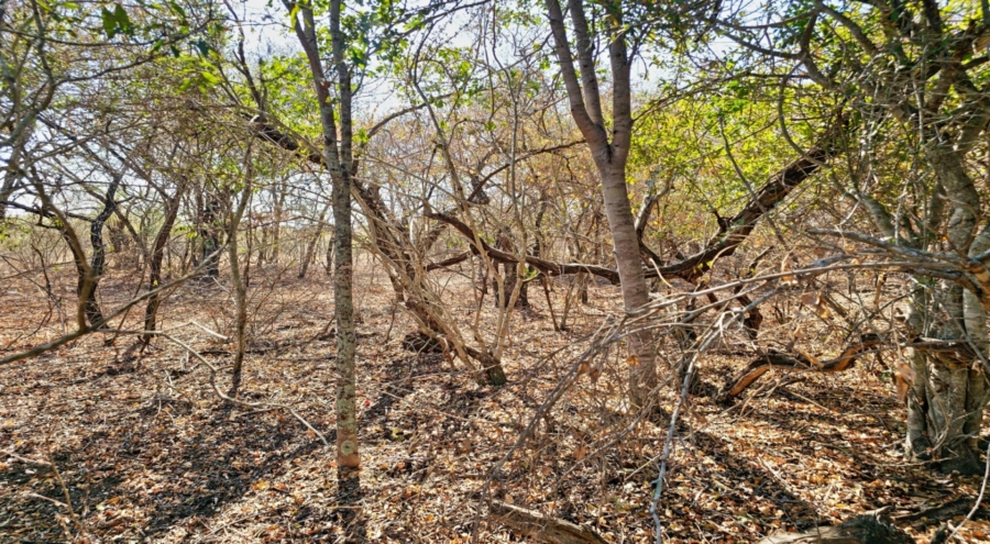 0 Bedroom Property for Sale in Marloth Park Mpumalanga