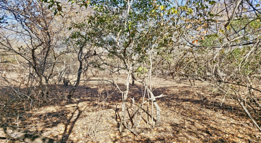 0 Bedroom Property for Sale in Marloth Park Mpumalanga