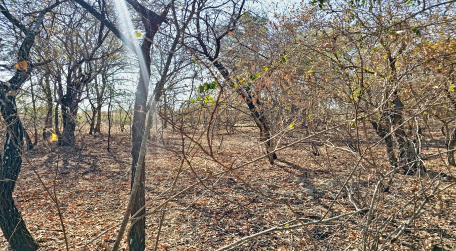 0 Bedroom Property for Sale in Marloth Park Mpumalanga