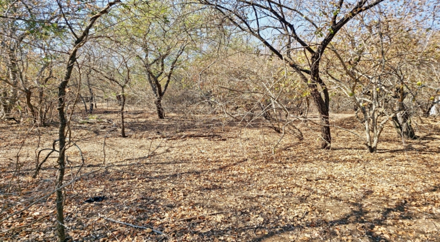 0 Bedroom Property for Sale in Marloth Park Mpumalanga