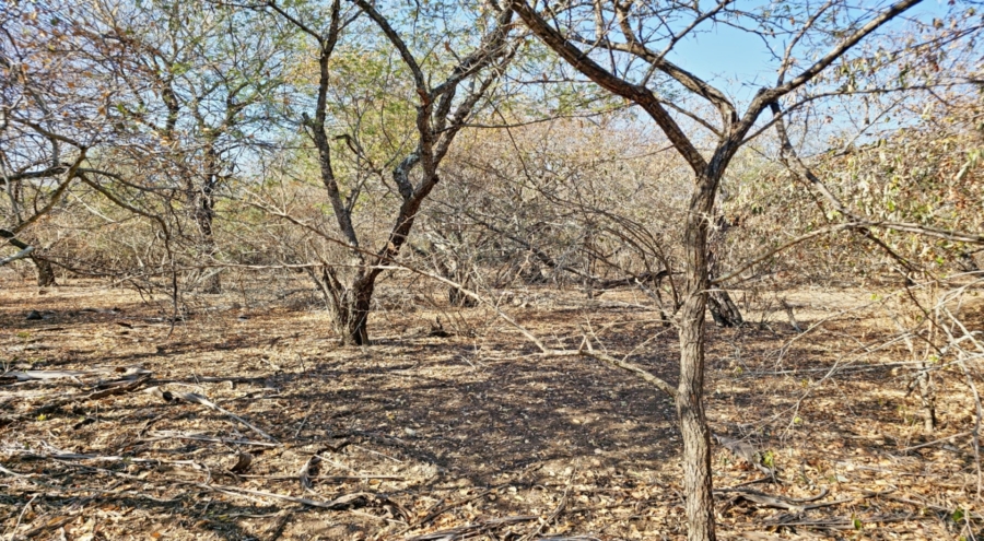 0 Bedroom Property for Sale in Marloth Park Mpumalanga