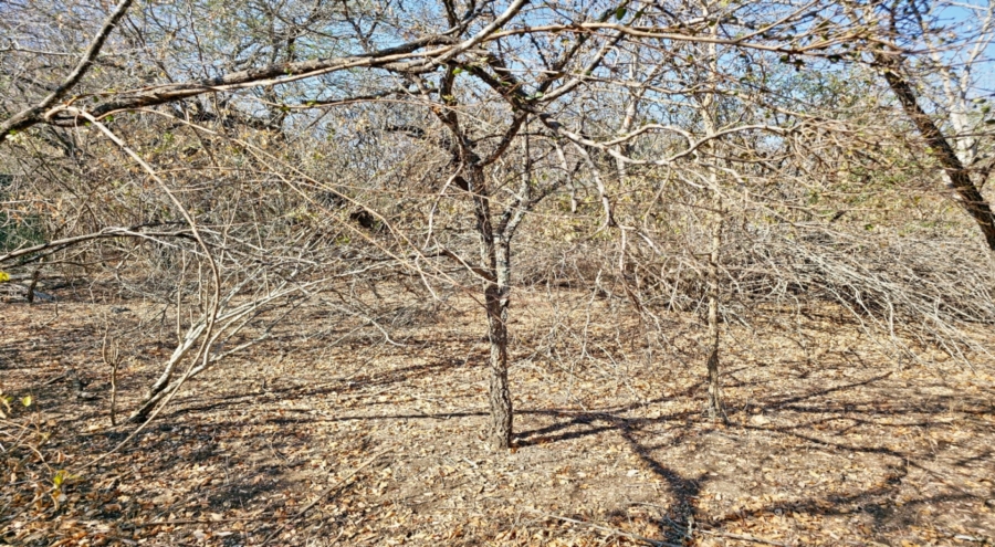 0 Bedroom Property for Sale in Marloth Park Mpumalanga