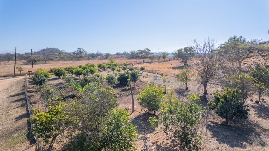 4 Bedroom Property for Sale in Barberton Mpumalanga