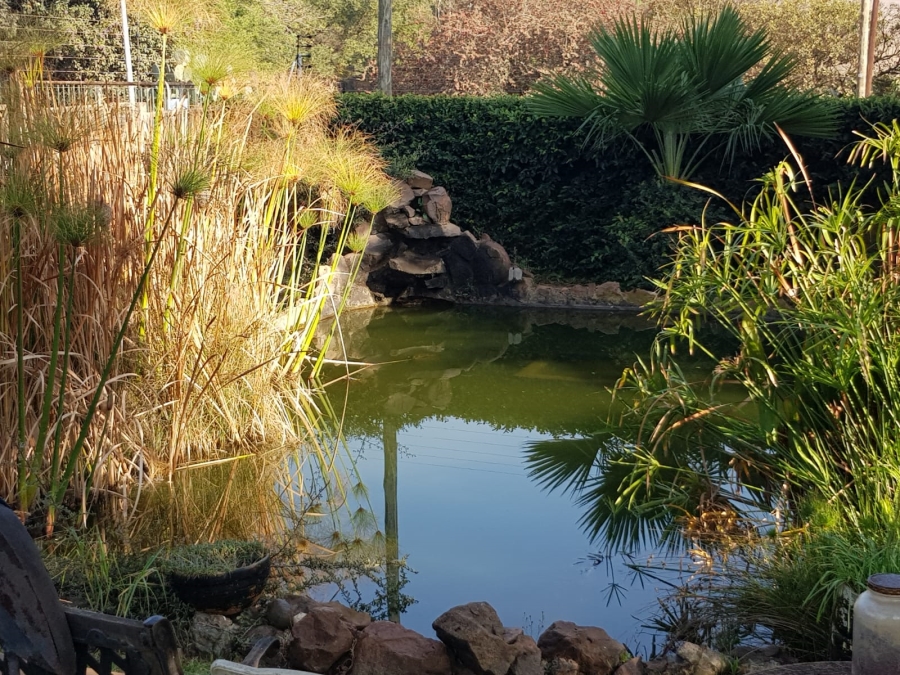 Commercial Property for Sale in Seekoeiwater Ah Mpumalanga