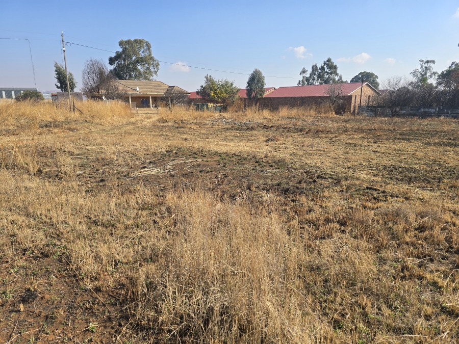 0 Bedroom Property for Sale in Balfour Mpumalanga