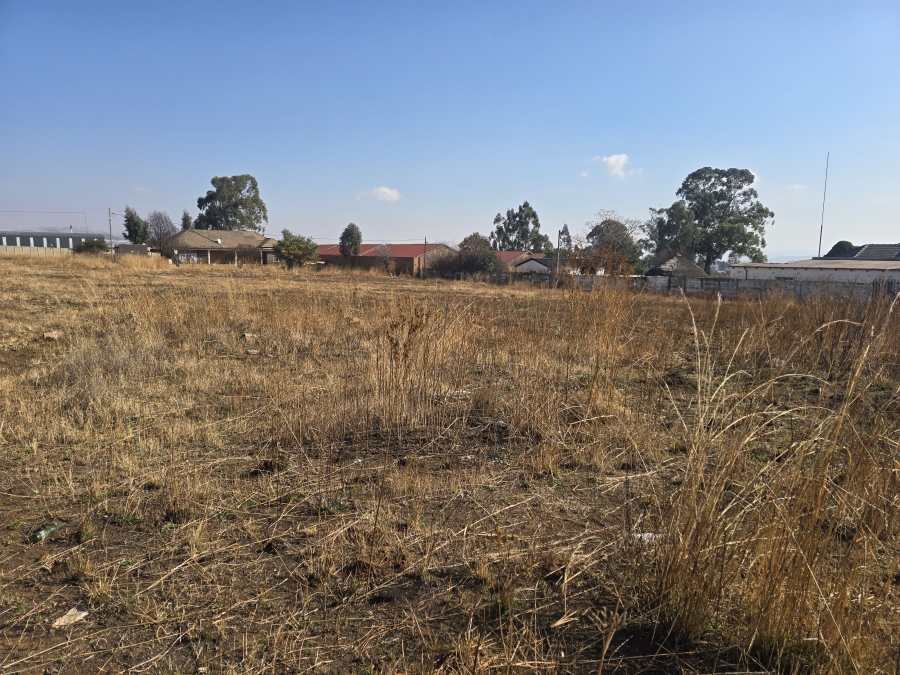 0 Bedroom Property for Sale in Balfour Mpumalanga