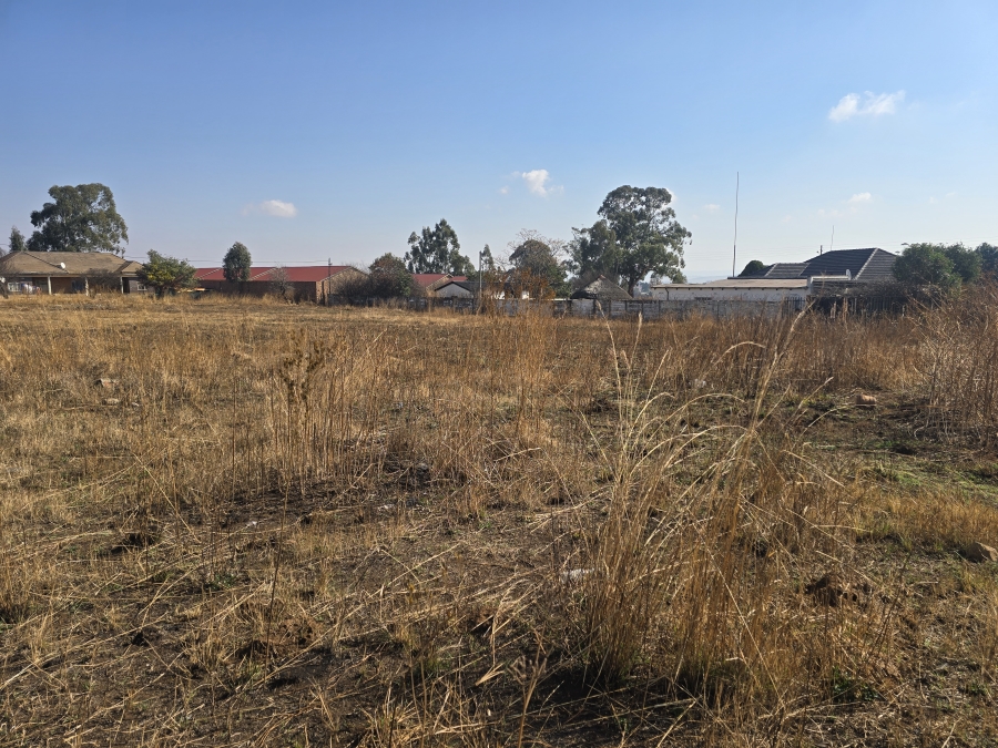 0 Bedroom Property for Sale in Balfour Mpumalanga