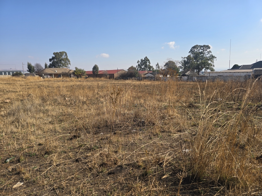 0 Bedroom Property for Sale in Balfour Mpumalanga