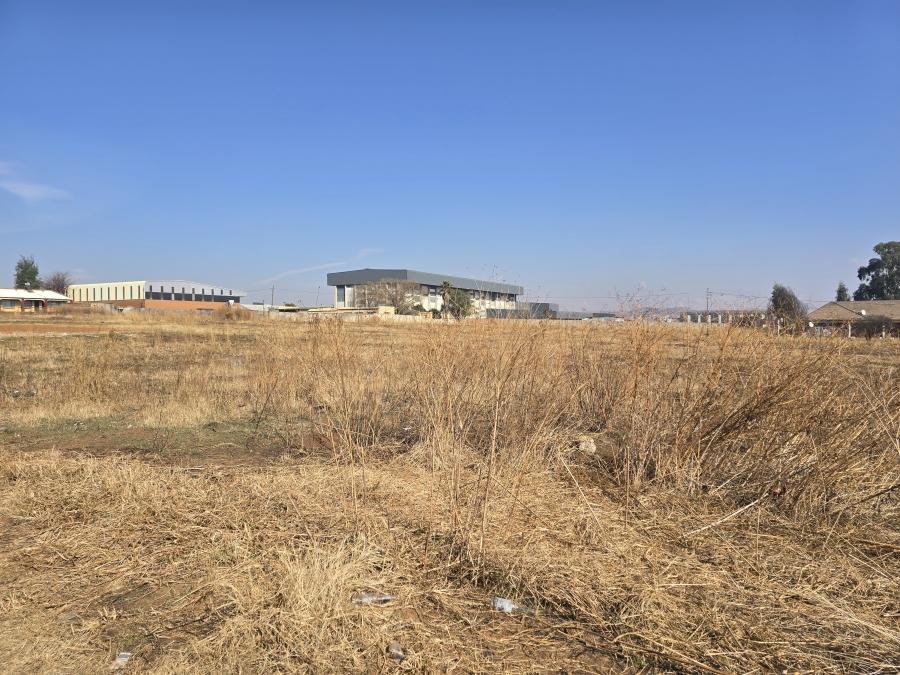 0 Bedroom Property for Sale in Balfour Mpumalanga