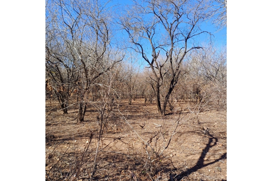 0 Bedroom Property for Sale in Marloth Park Mpumalanga