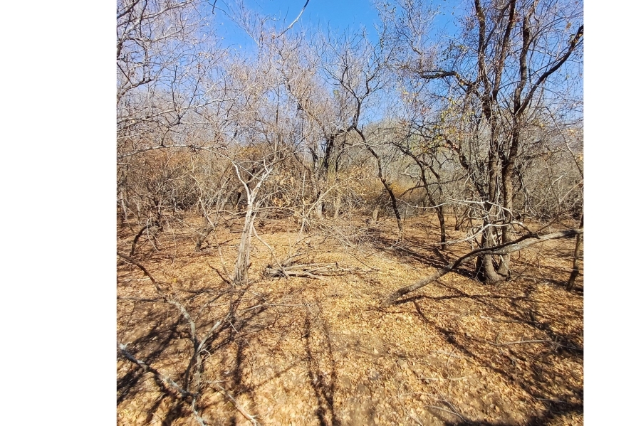 0 Bedroom Property for Sale in Marloth Park Mpumalanga