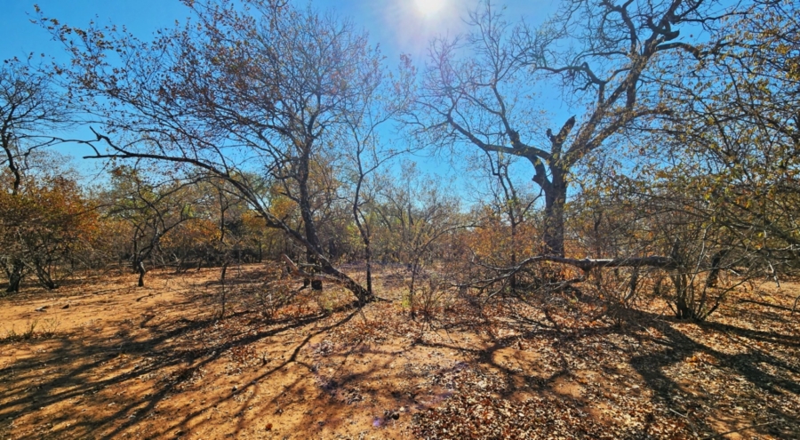 0 Bedroom Property for Sale in Marloth Park Mpumalanga