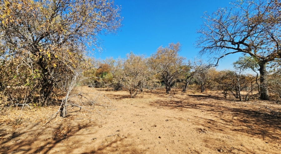 0 Bedroom Property for Sale in Marloth Park Mpumalanga