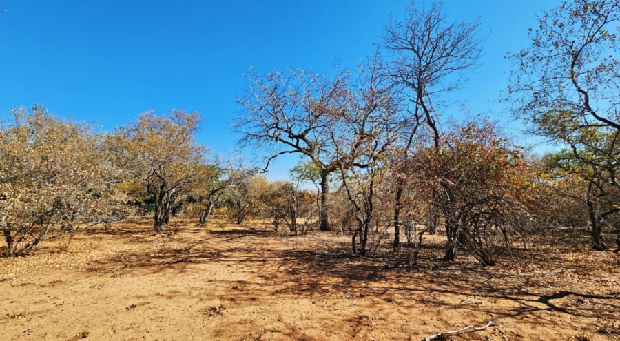 0 Bedroom Property for Sale in Marloth Park Mpumalanga