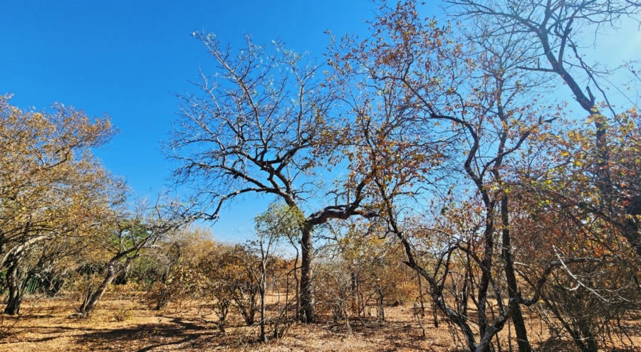 0 Bedroom Property for Sale in Marloth Park Mpumalanga