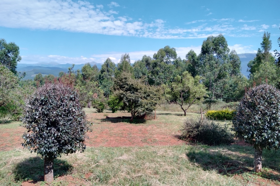 7 Bedroom Property for Sale in Sabie Rural Mpumalanga