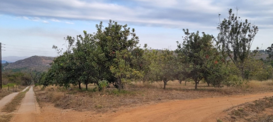 3 Bedroom Property for Sale in White River Estates Mpumalanga