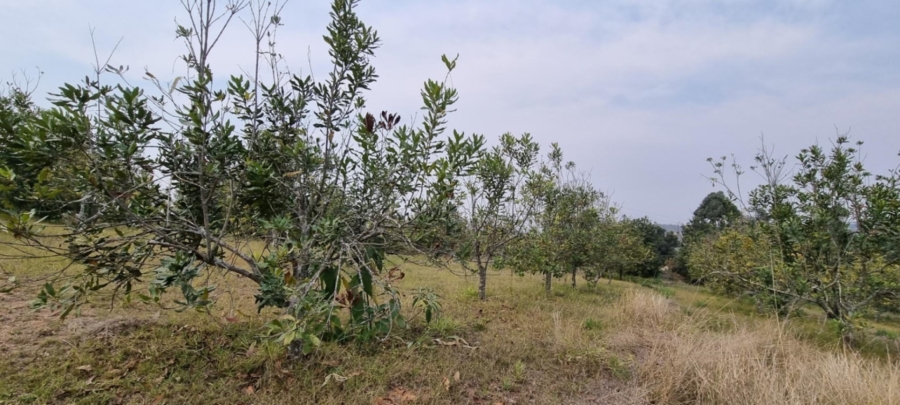 3 Bedroom Property for Sale in White River Estates Mpumalanga