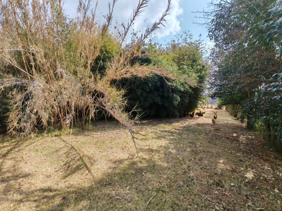 9 Bedroom Property for Sale in eMakhazeni B Mpumalanga