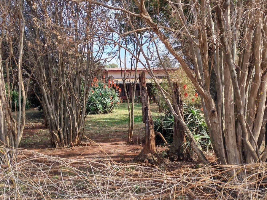 9 Bedroom Property for Sale in eMakhazeni B Mpumalanga