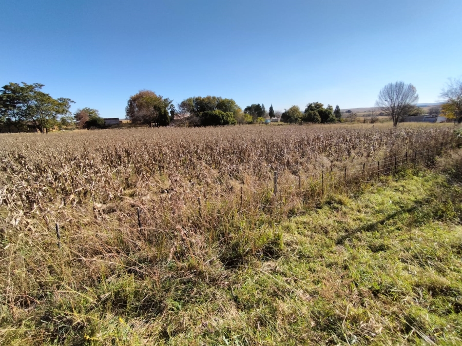0 Bedroom Property for Sale in Amsterdam Mpumalanga