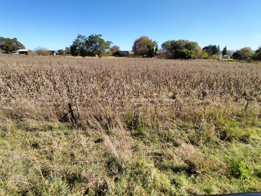 0 Bedroom Property for Sale in Amsterdam Mpumalanga