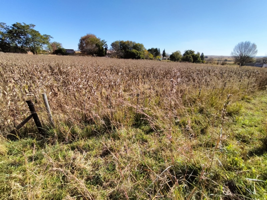 0 Bedroom Property for Sale in Amsterdam Mpumalanga