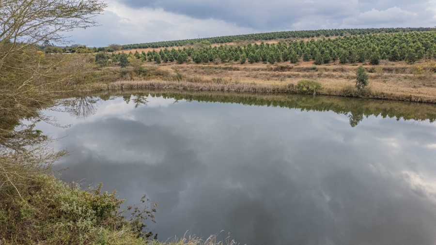 6 Bedroom Property for Sale in White River Estates Mpumalanga
