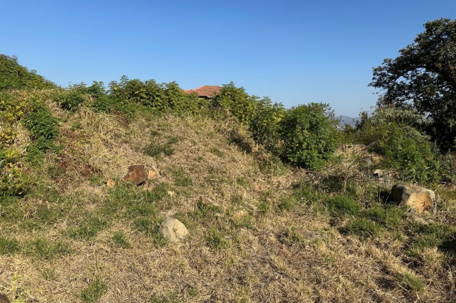 0 Bedroom Property for Sale in Drum Rock Mpumalanga