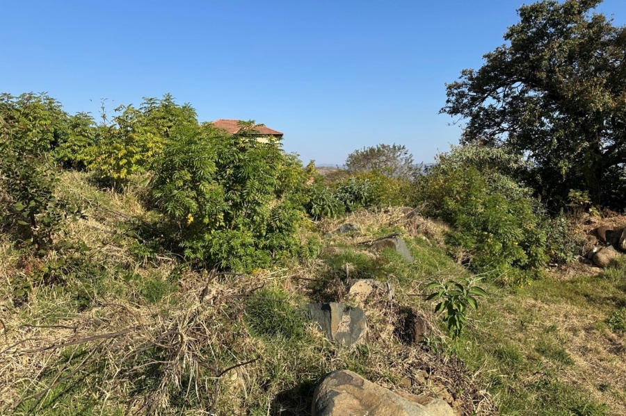 0 Bedroom Property for Sale in Drum Rock Mpumalanga