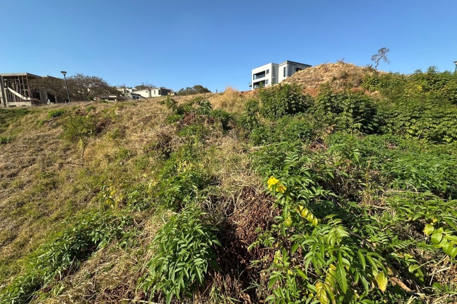 0 Bedroom Property for Sale in Drum Rock Mpumalanga
