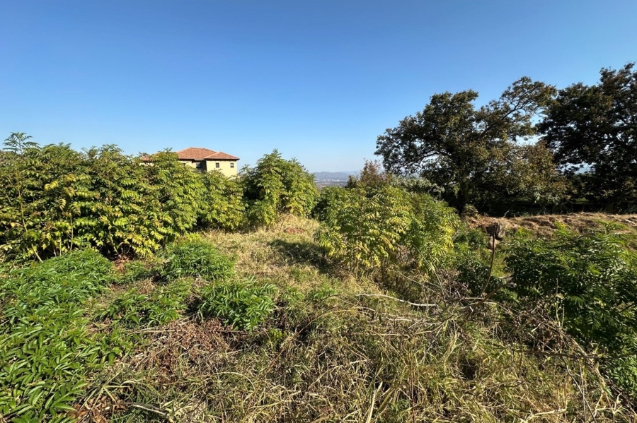 0 Bedroom Property for Sale in Drum Rock Mpumalanga