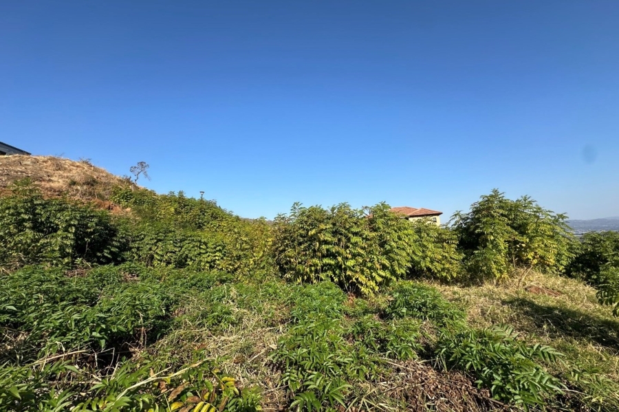0 Bedroom Property for Sale in Drum Rock Mpumalanga